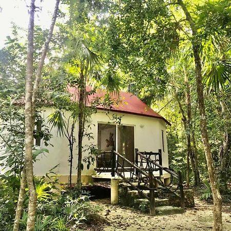 OYO Jolie Jungle Eco Hotel Leona Vicario Esterno foto