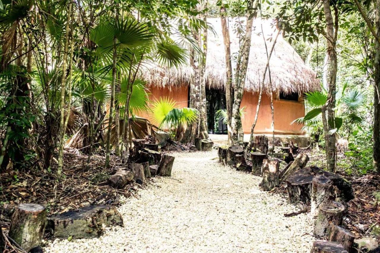 OYO Jolie Jungle Eco Hotel Leona Vicario Esterno foto