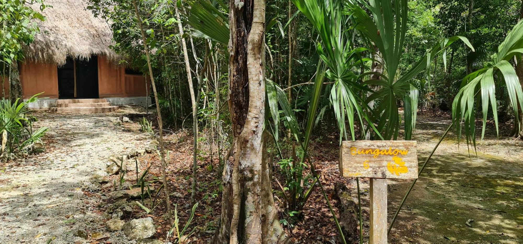 OYO Jolie Jungle Eco Hotel Leona Vicario Esterno foto