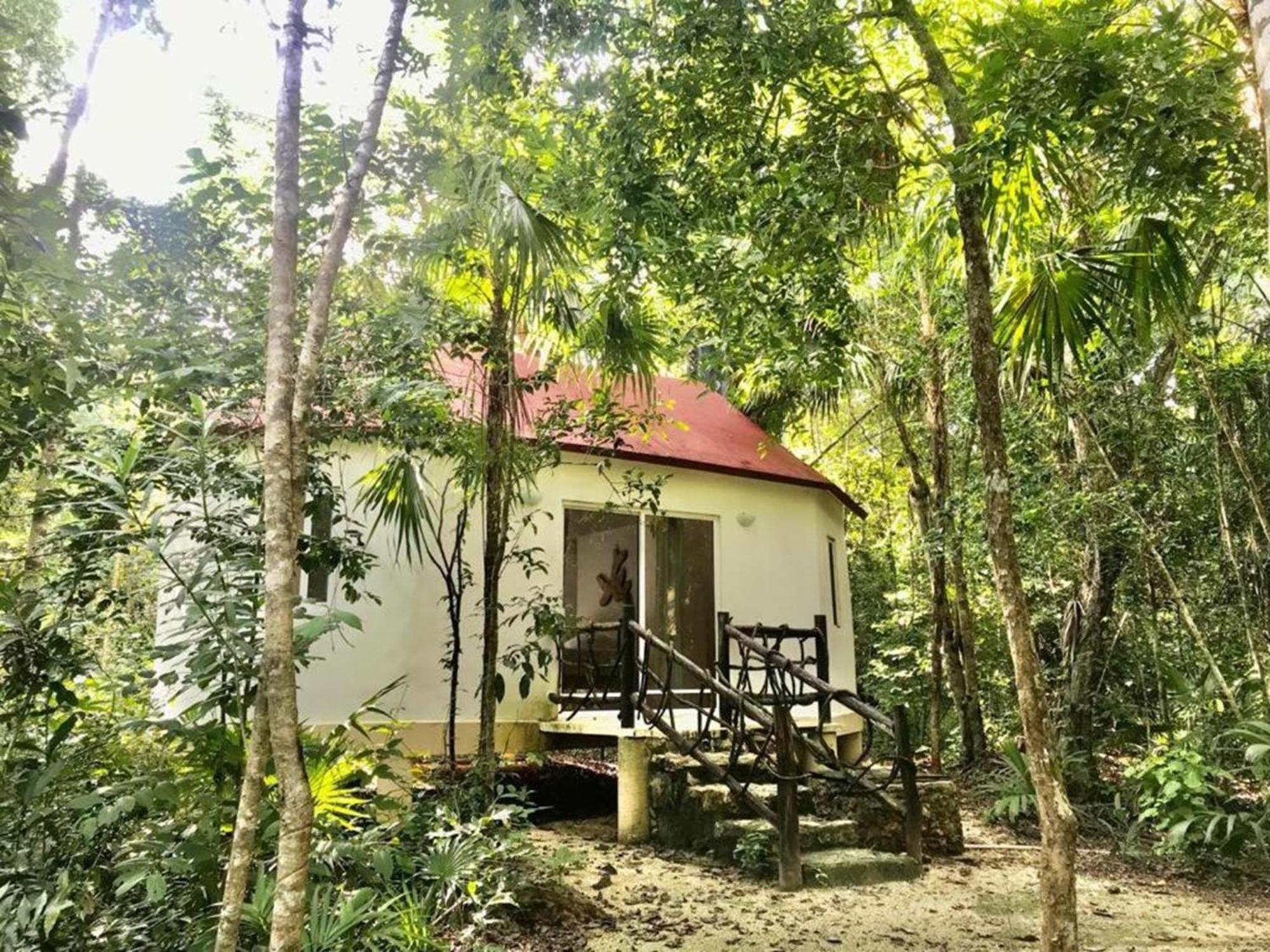 OYO Jolie Jungle Eco Hotel Leona Vicario Esterno foto
