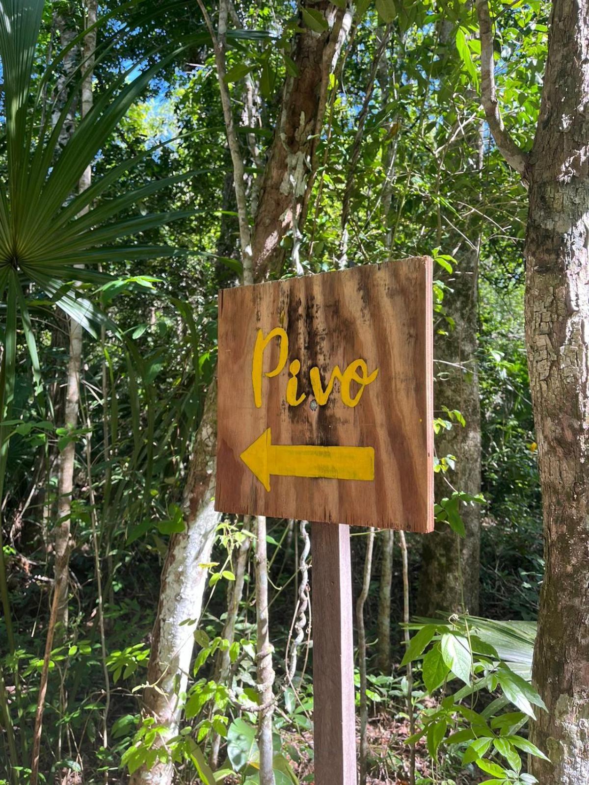 OYO Jolie Jungle Eco Hotel Leona Vicario Camera foto