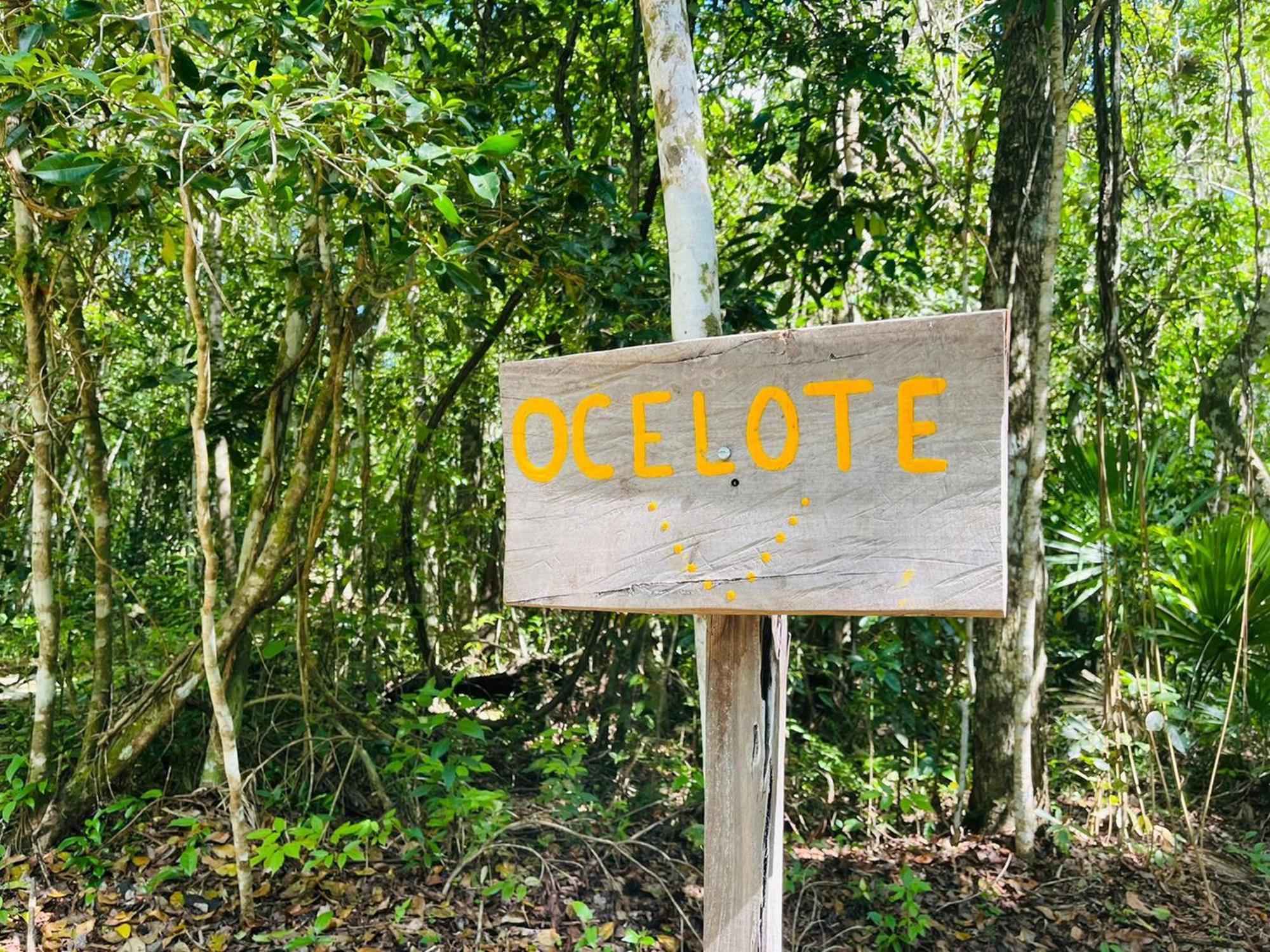 OYO Jolie Jungle Eco Hotel Leona Vicario Camera foto