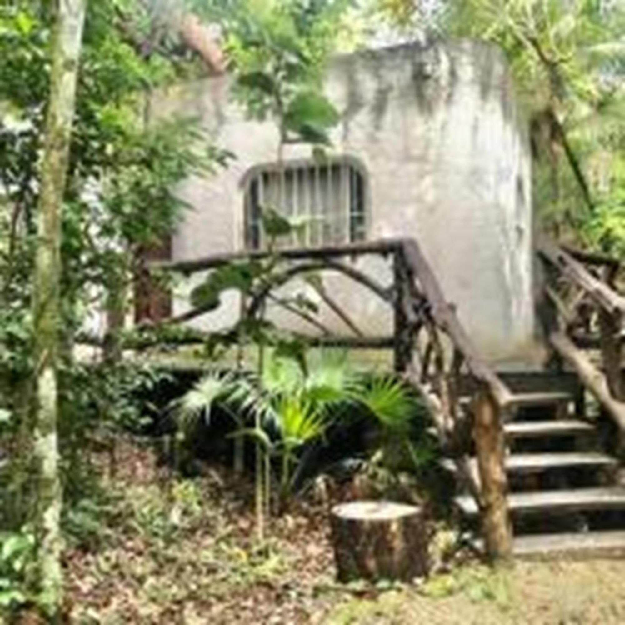 OYO Jolie Jungle Eco Hotel Leona Vicario Esterno foto