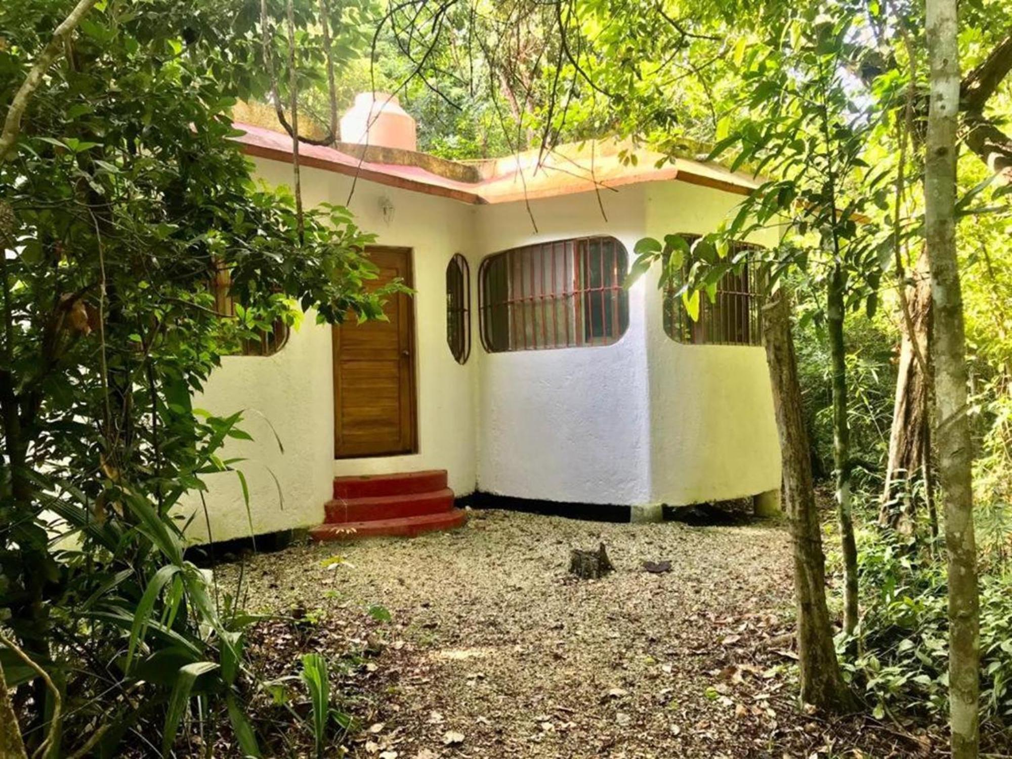 OYO Jolie Jungle Eco Hotel Leona Vicario Esterno foto